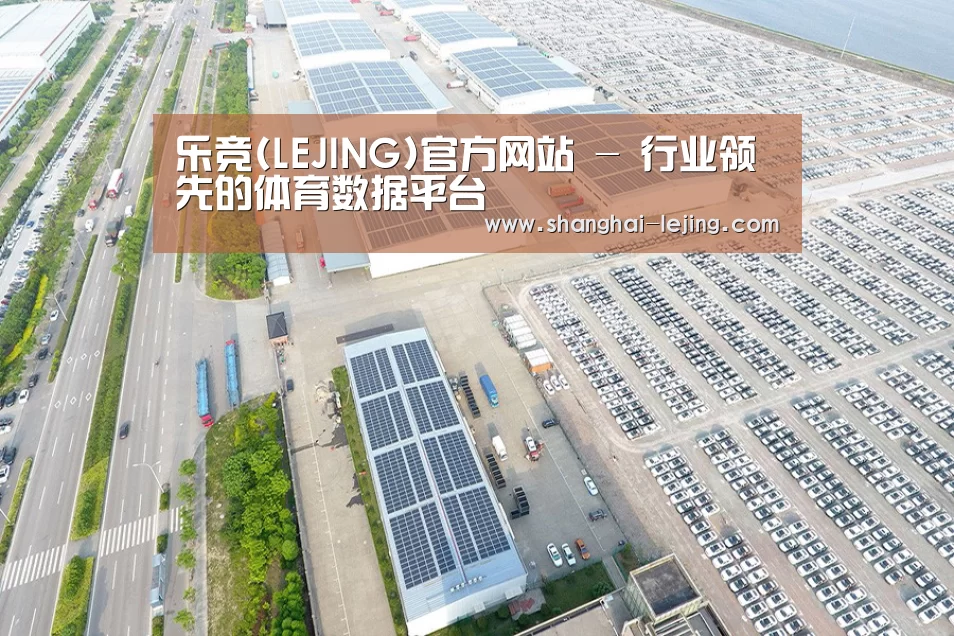 案例展示一