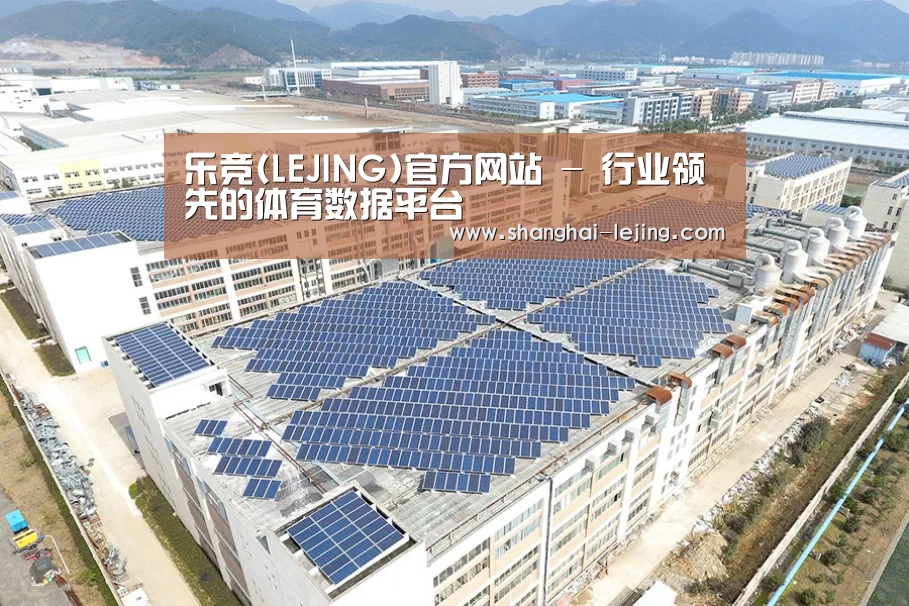 案例展示四