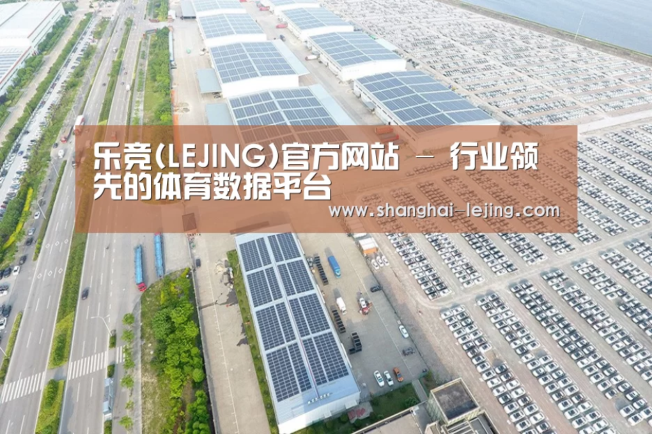 案例展示三