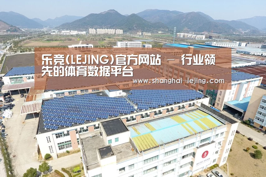 案例展示三
